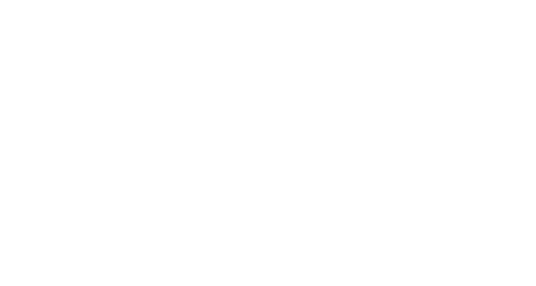 SWISS PERFECTION